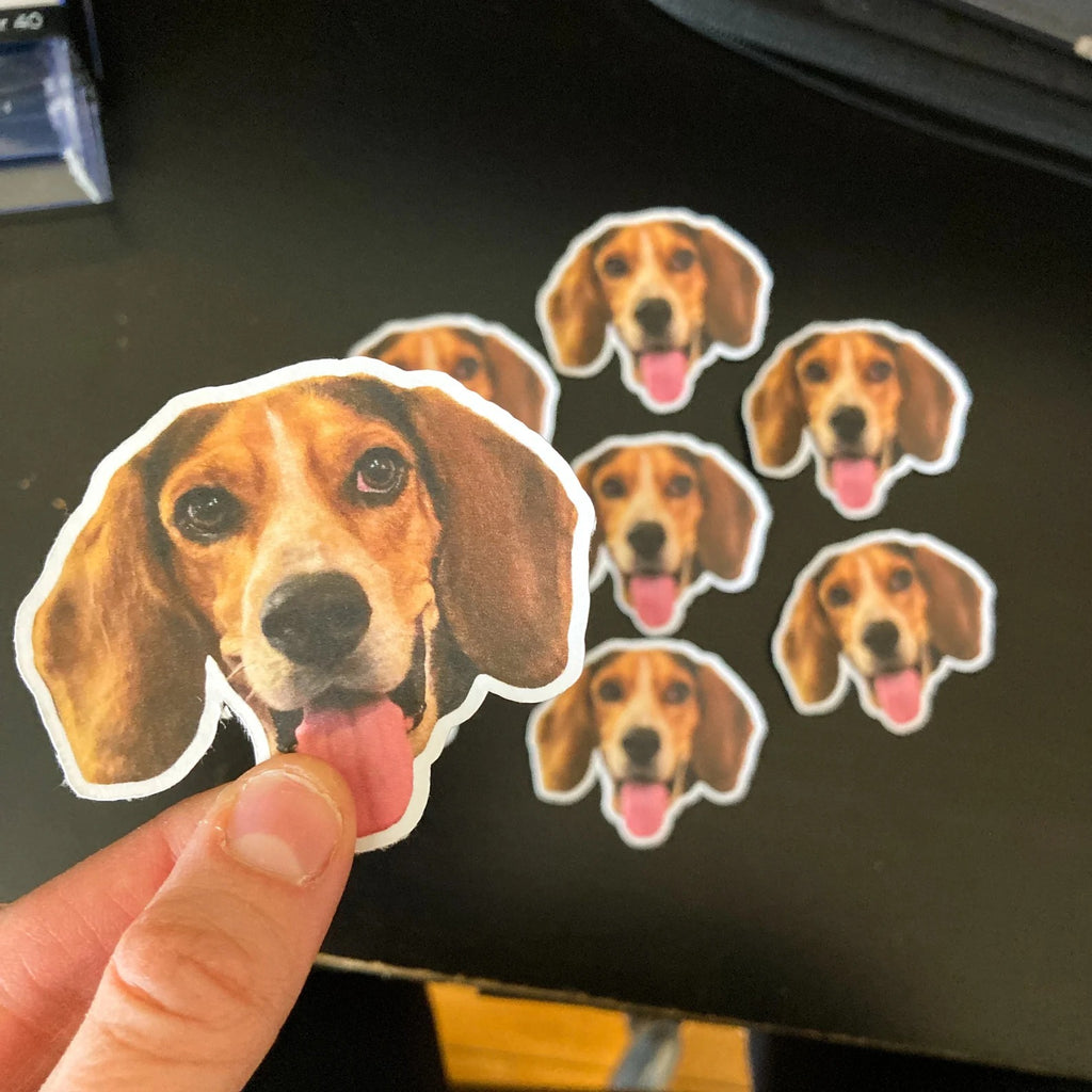 ✨ Pack de calcomanías personalizadas 📸